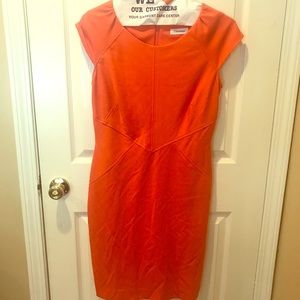 Calvin Klein Sheath dress!